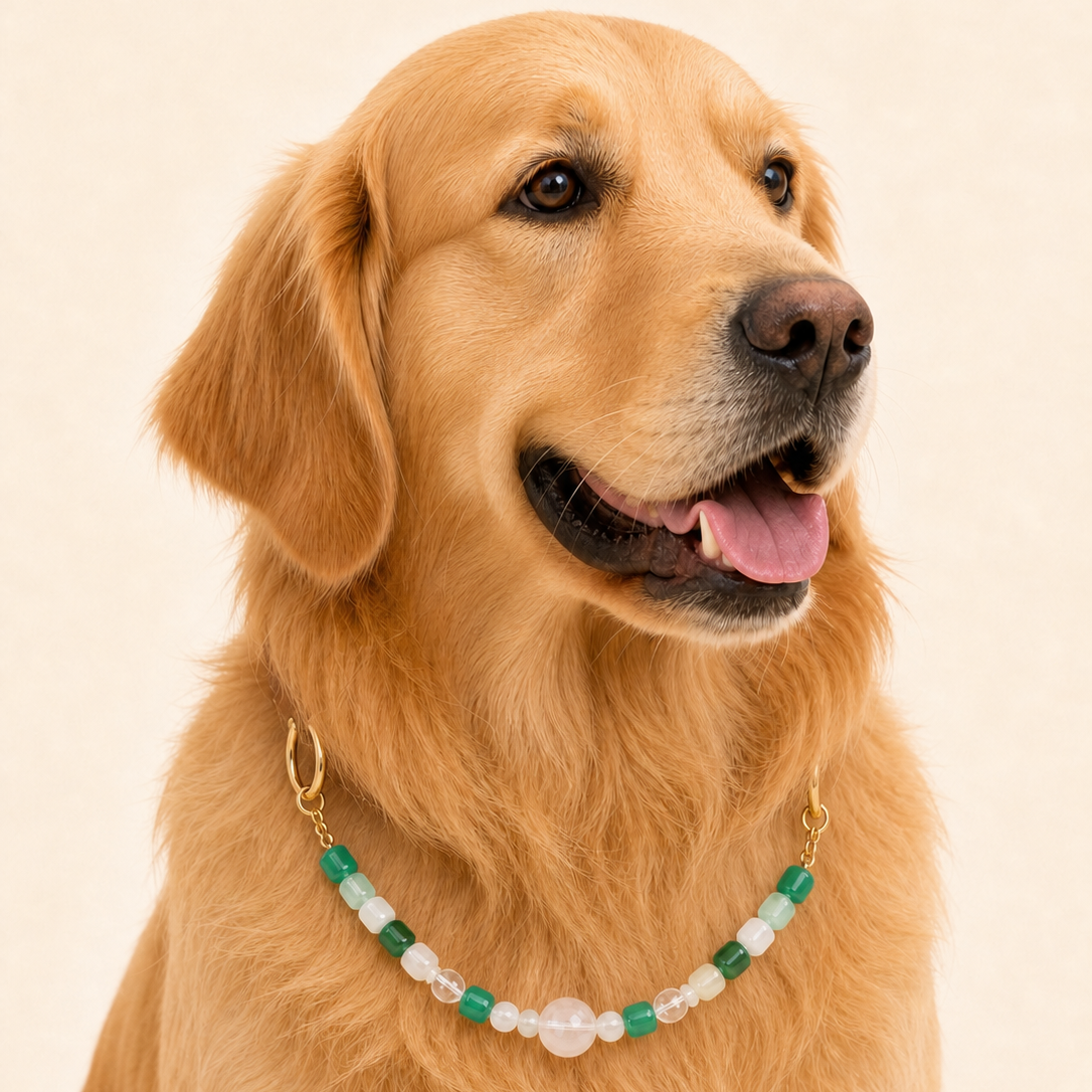 Green Selenite Collar | TiziPaw™