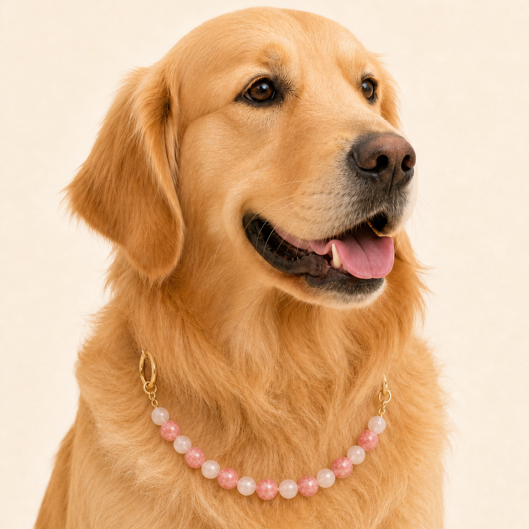 Rose Quartz Collar | TiziPaw™