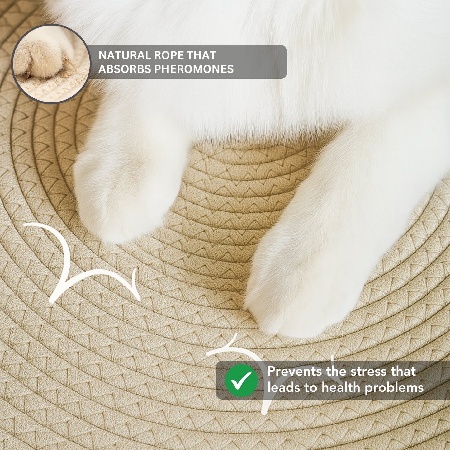 Instinct Basket | TiziPaw™
