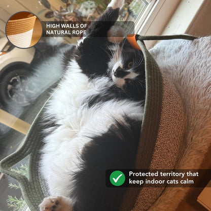 Instinct Basket | TiziPaw™