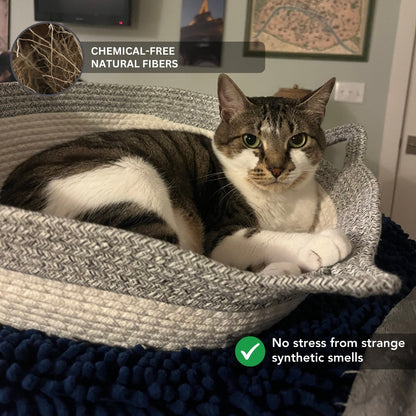 Instinct Basket | TiziPaw™