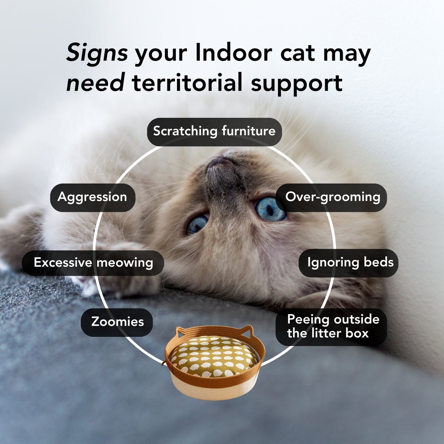 Instinct Basket | TiziPaw™