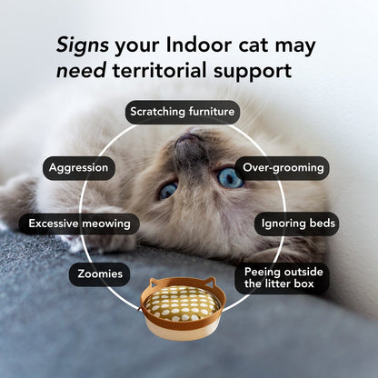 Instinct Basket | TiziPaw™