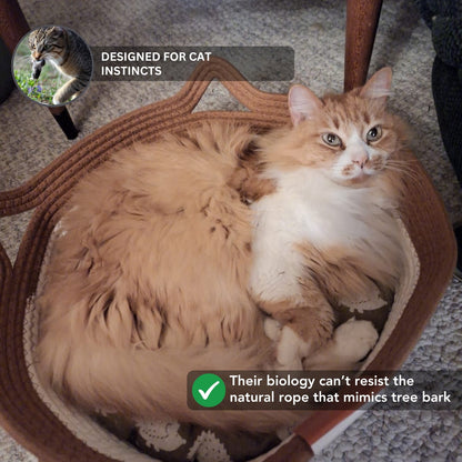 Instinct Basket | TiziPaw™