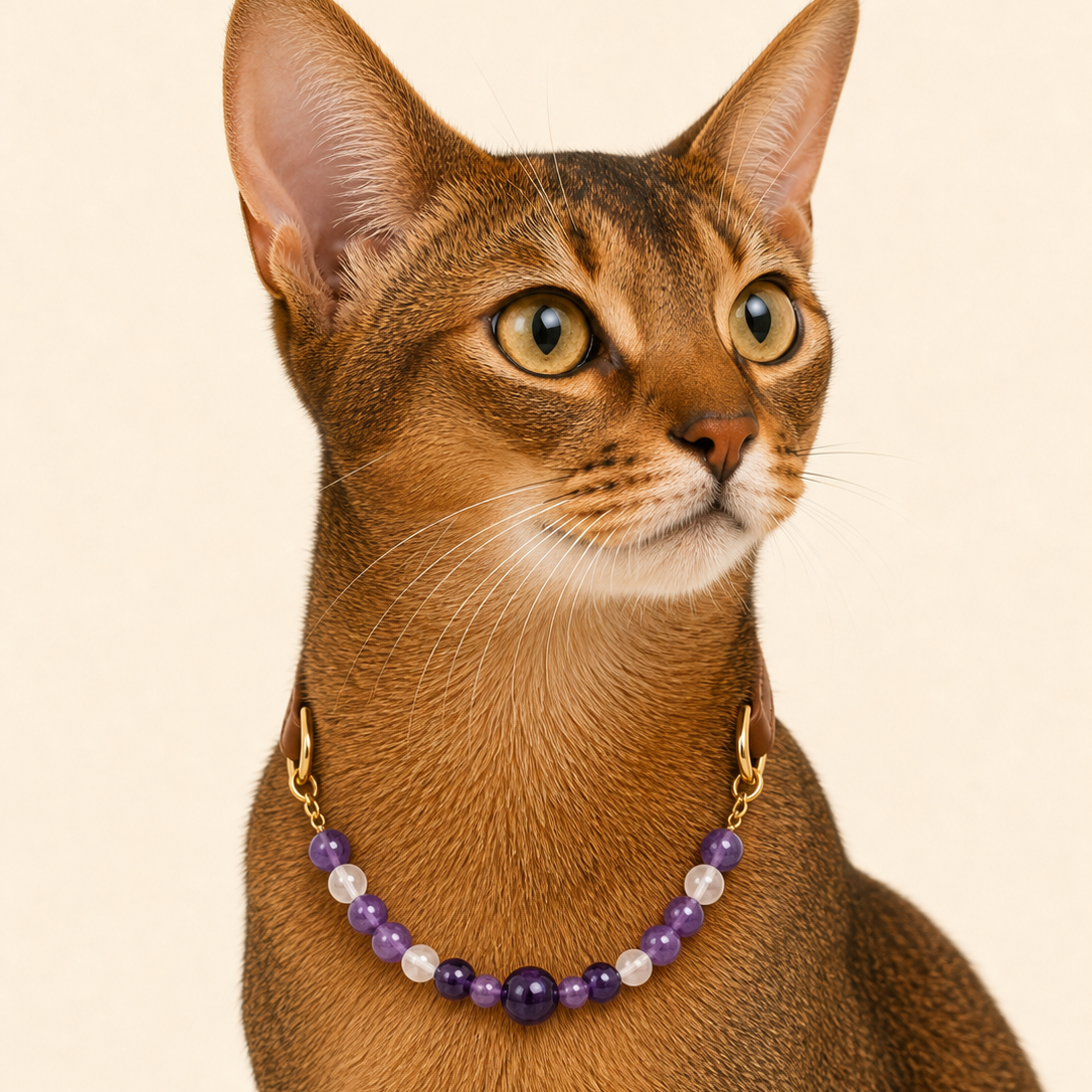 Amethyst Collar | TiziPaw™
