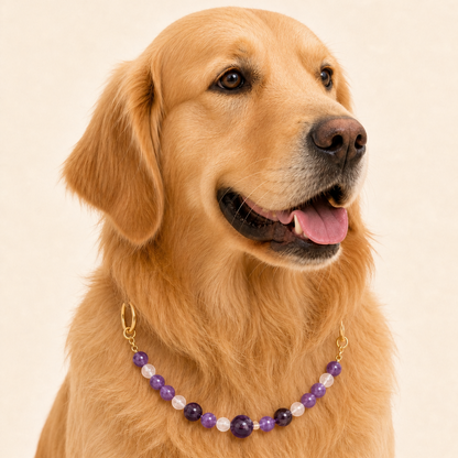 Amethyst Collar | TiziPaw™