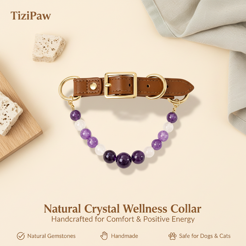 Amethyst Collar | TiziPaw™