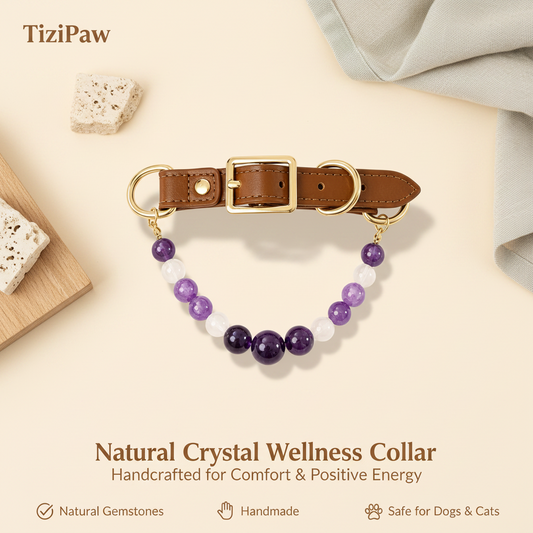 Amethyst Collar | TiziPaw™
