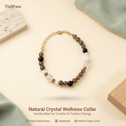 Black Obsidian Collar | TiziPaw™