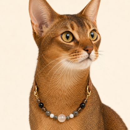 Black Obsidian Collar | TiziPaw™
