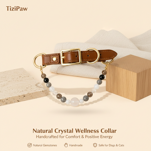 Black Obsidian Collar | TiziPaw™