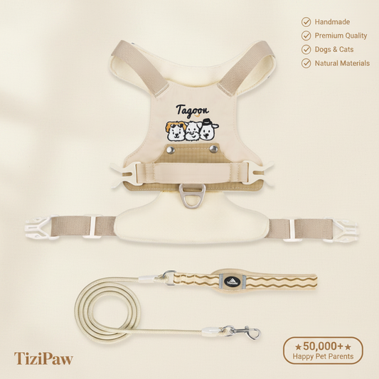 TiziPaw™ Color Pop Harness Set