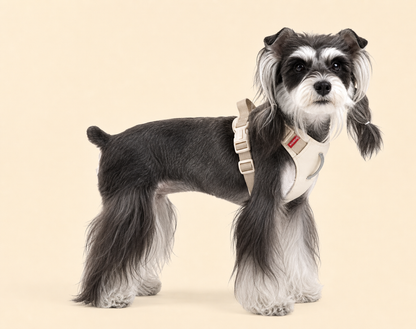 TiziPaw™ Color Pop Harness Set