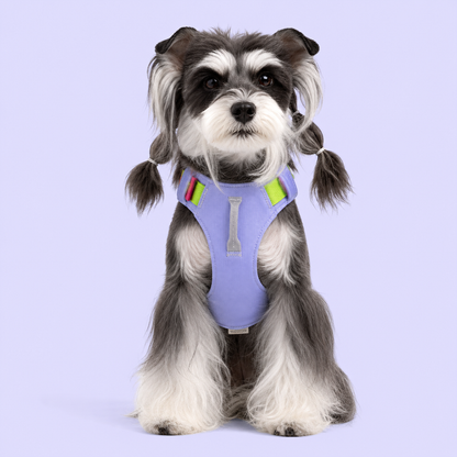 TiziPaw™ Color Pop Harness Set