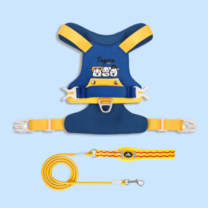 TiziPaw™ Color Pop Harness Set