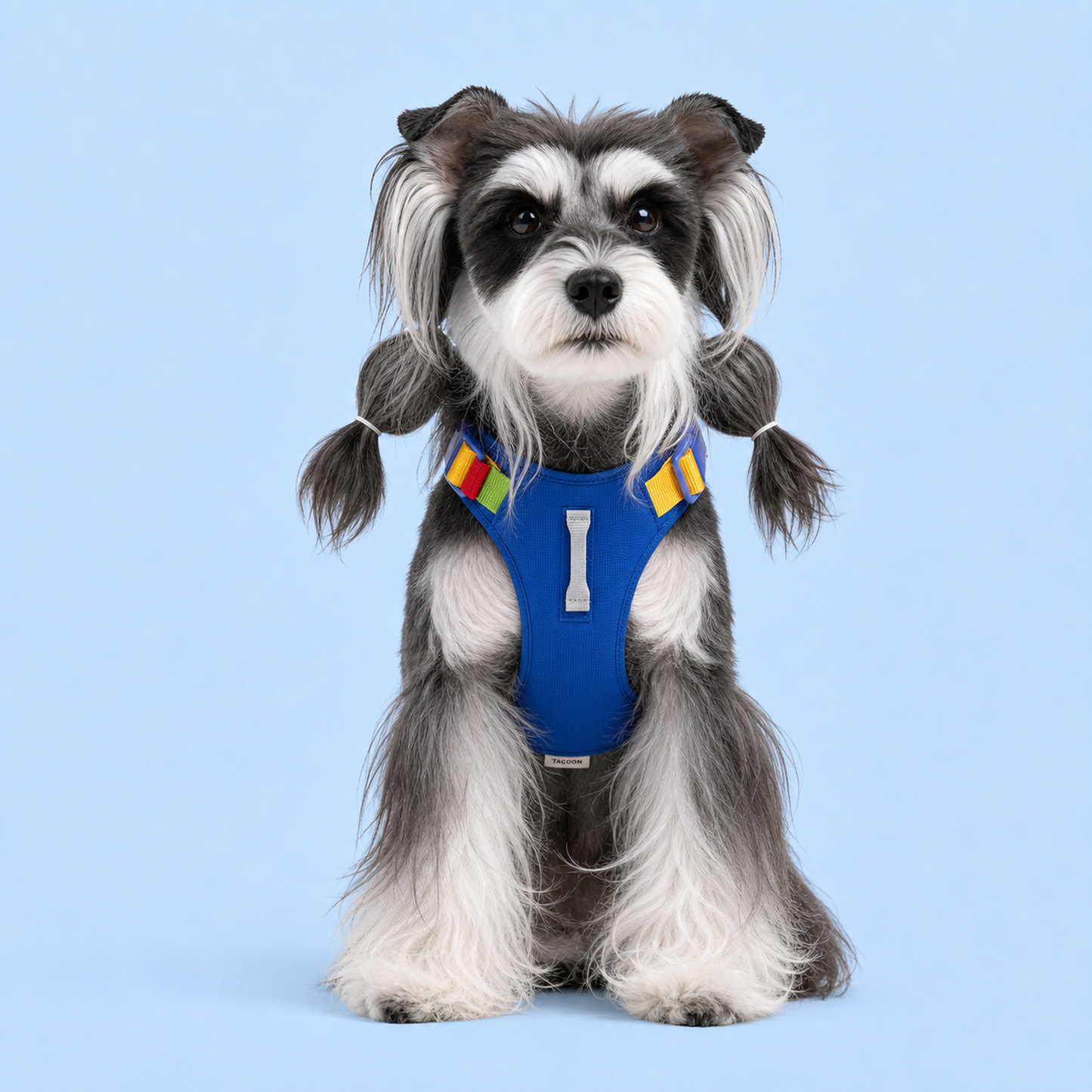 TiziPaw™ Color Pop Harness Set