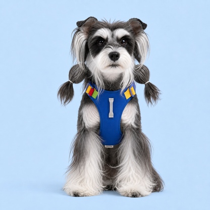 TiziPaw™ Color Pop Harness Set