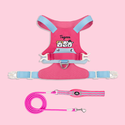TiziPaw™ Color Pop Harness Set