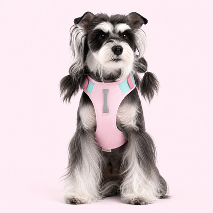 TiziPaw™ Color Pop Harness Set