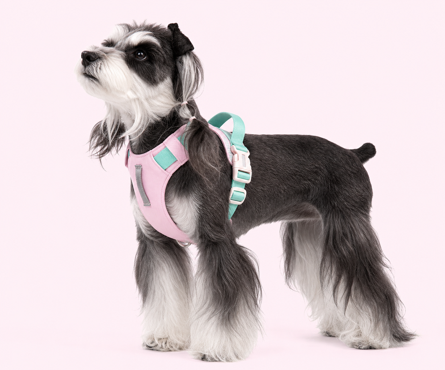 TiziPaw™ Color Pop Harness Set