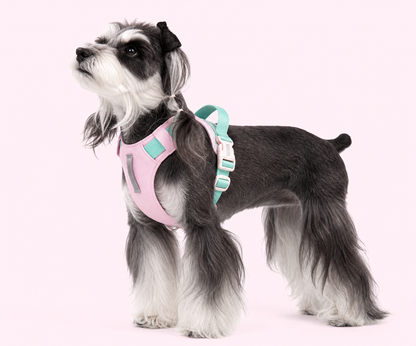TiziPaw™ Color Pop Harness Set