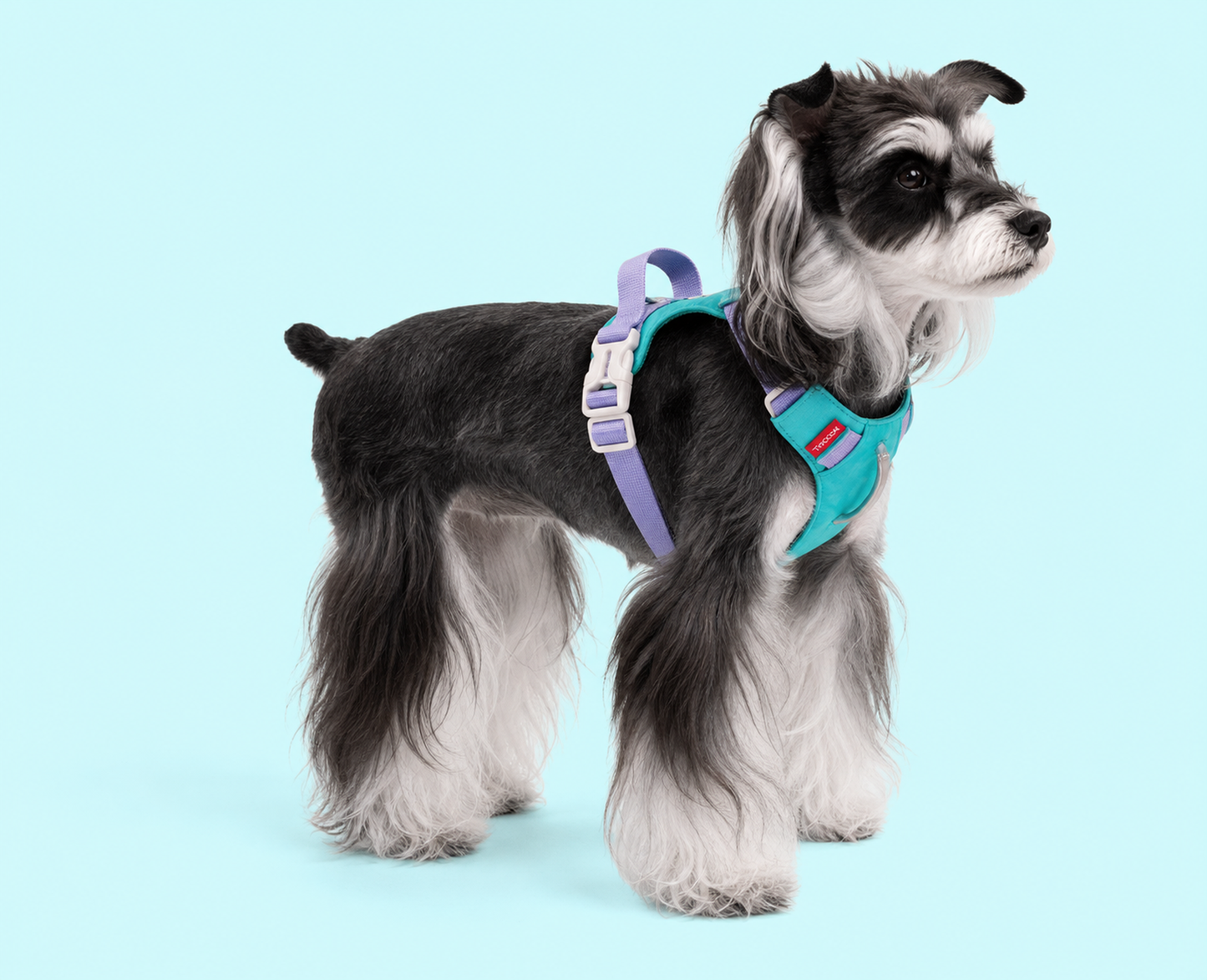 TiziPaw™ Color Pop Harness Set