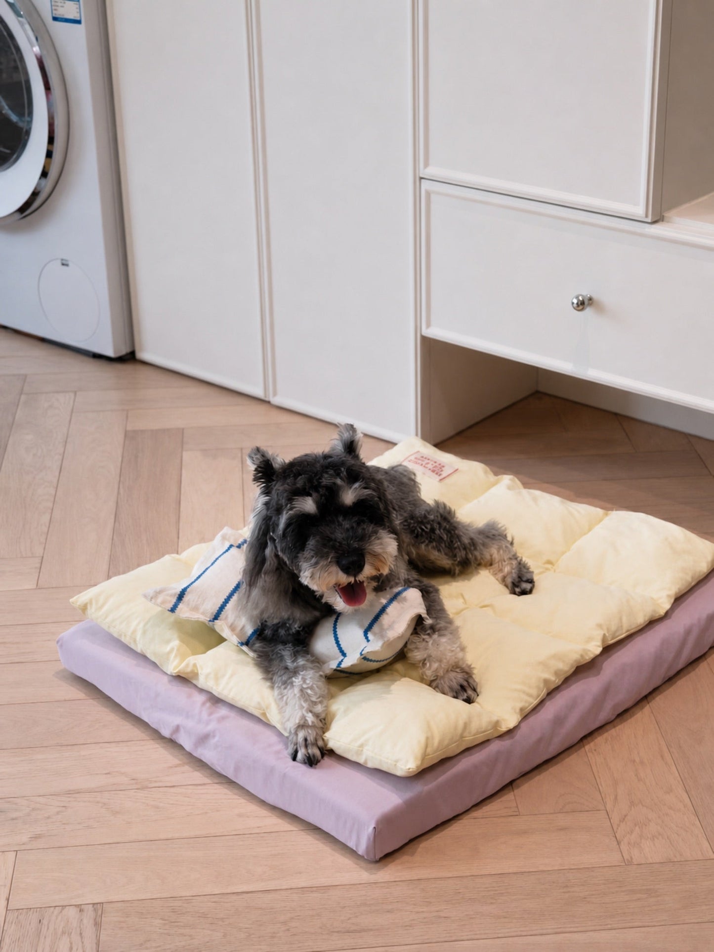 TiziPaw™ Drift Bed