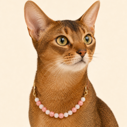 Rose Quartz Collar | TiziPaw™