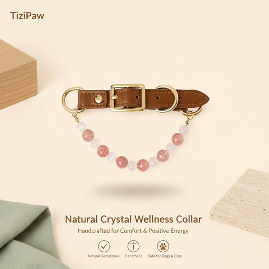 Rose Quartz Collar | TiziPaw™