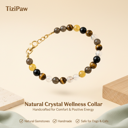 Tiger's Eye Collar | TiziPaw™
