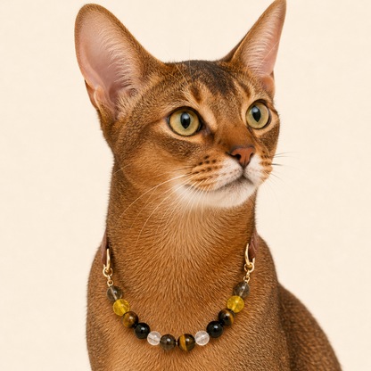 Tiger's Eye Collar | TiziPaw™