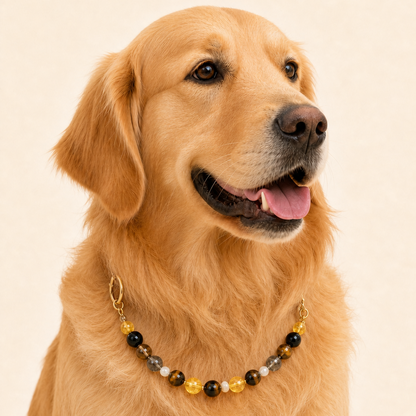 Tiger's Eye Collar | TiziPaw™